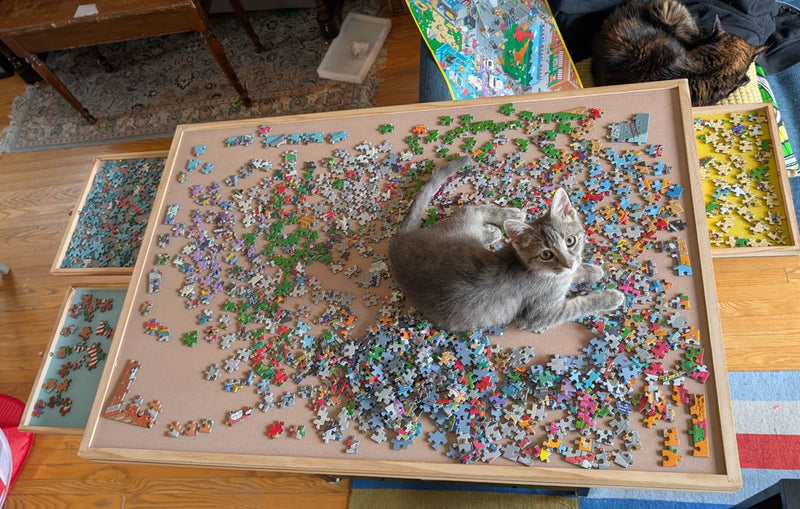 Customer photo from Paul's review: a cat sitting on a half-built puzzle